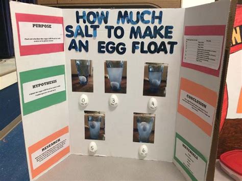 Science Fair Ideas For 3rd Grade