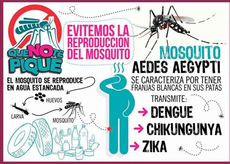 Lanza Campaña Para Combatir El Dengue Rbdigital