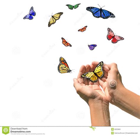 Hands Releasing Butterflies Into Blank White Space Stock Photos - Image ...