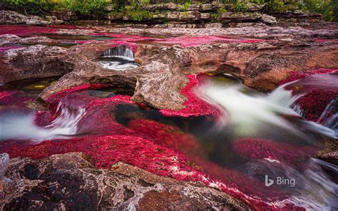 Cano Cristales River Serrania De La Macarena Colombia Go With The