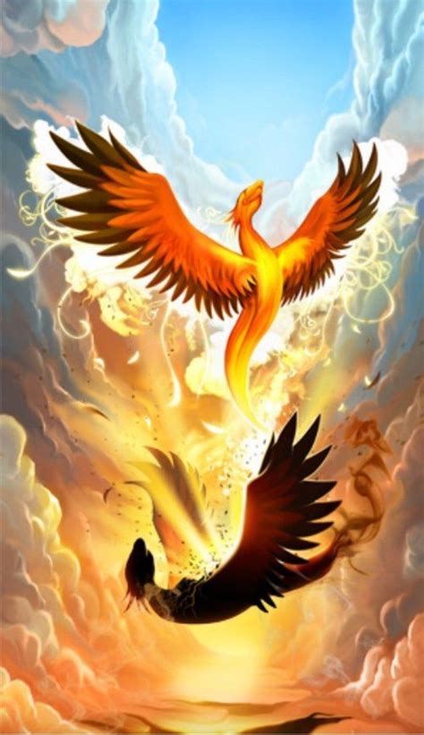 From The Ashes Rises The Phoenix Phoenix Tattoo Design Phoenix