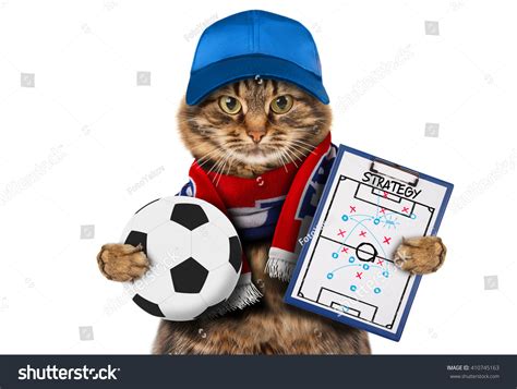 Funny Cat Soccer Ball On White Stock Photo Edit Now 410745163