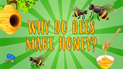 Why Do Bees Make Honey Educational Videos For Kids Youtube