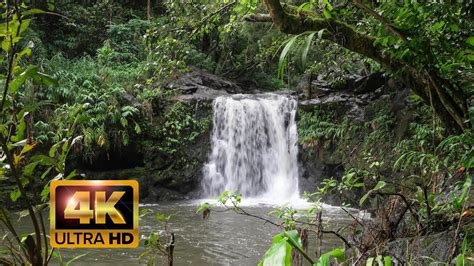 Relaxing Waterfall Sounds 1 Hour 4k Video Youtube