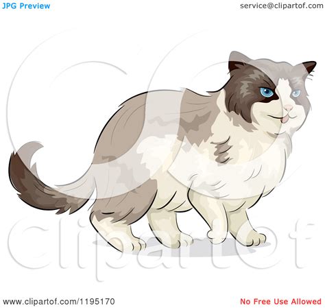 Ragdoll Cat Clipart 20 Free Cliparts Download Images On Clipground 2023