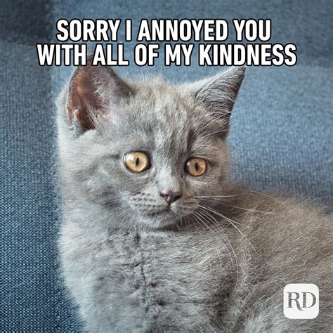 20 Kindness Memes That Spread Cheer — Funny Memes About Kindness