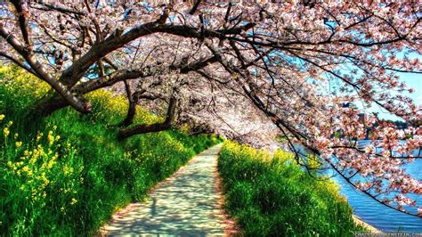 Spring Nature Scenes Wallpapers Top Free Spring Nature Scenes