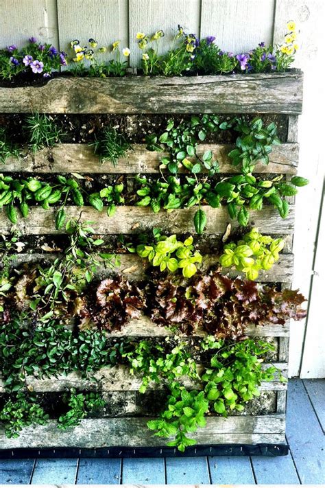How To Start Vertical Garden Living Walls Naturebring Herb Garden
