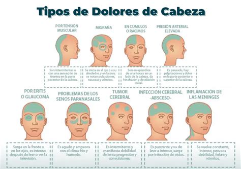 Descubre Los Diferentes Tipos De Dolor De Cabeza Y Sus Causas