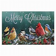 National Wildlife Christmas Cards - great christmas greetings