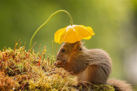 Smithsonian Photo Contest 2016 Finalists Vote For The