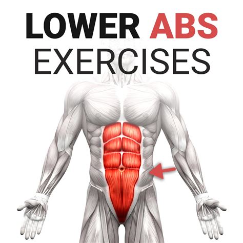 Lower Abs Exercises To Target Your Lower Abdominals Coach Sofia
