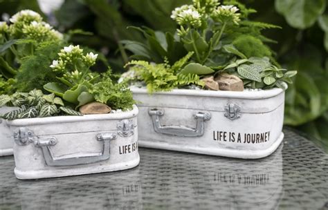 Maybe you would like to learn more about one of these? Suitcase Garden - Life is a Journey | New In-Store ...