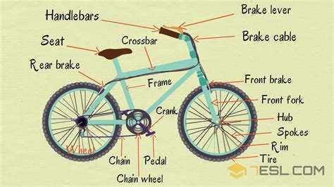 Parts Bicycle Diagram