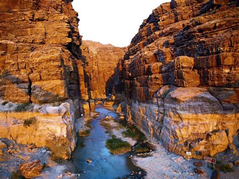أهم المحميات الطبيعية في الأردن المرسال