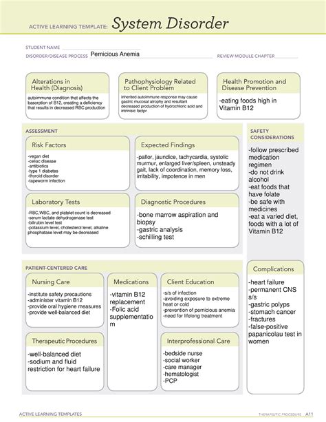 Anemia Ati Active Learning Template System Disorder C