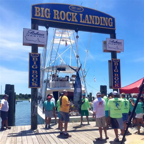 First Weighed Marlin At The 2016 Big Rock Blue Marlin Tournament In