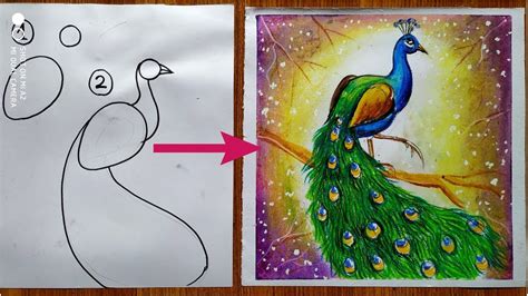 How To Draw Beautiful Peacock Easy National Bird Peacock Drawing Step My Xxx Hot Girl