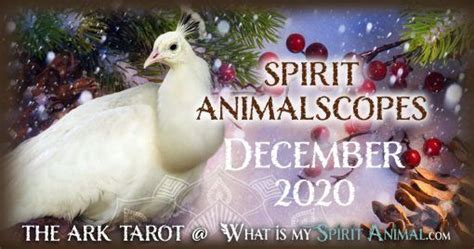 Animal Spirit Guide Blog Learn All About Your Spirit Totem And Power