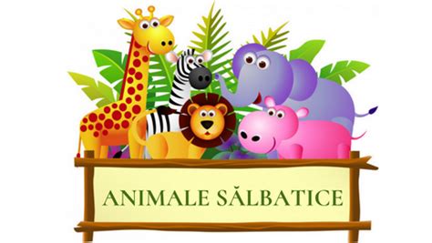 În Lumea Animalelor SĂlbatice