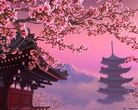 Cherry Blossom 4k Wallpaper Download