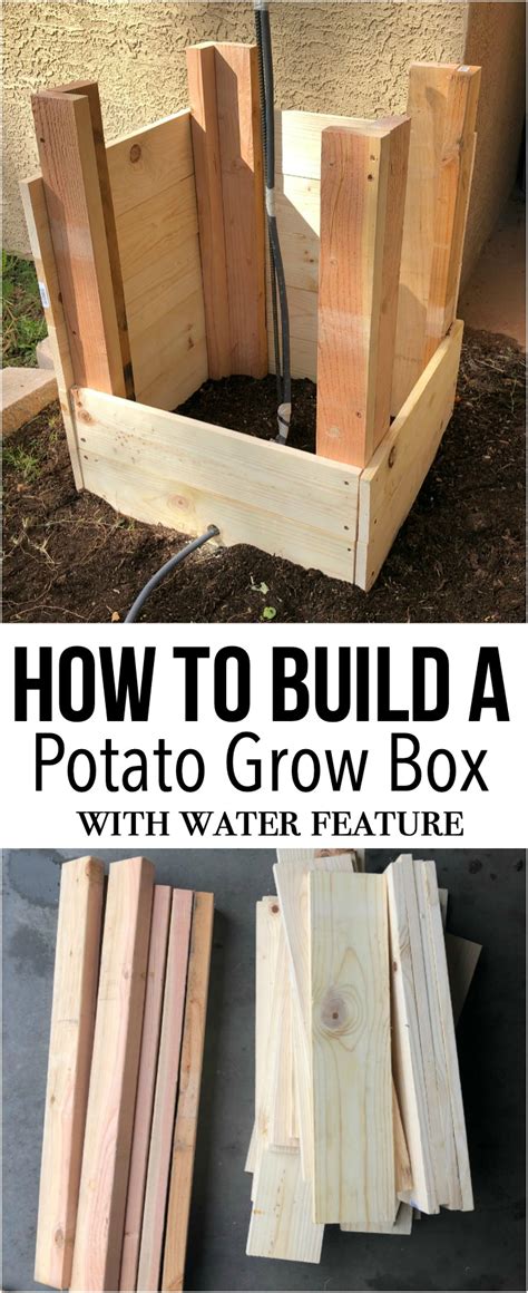 How To Build A Potato Grow Box For Beginners