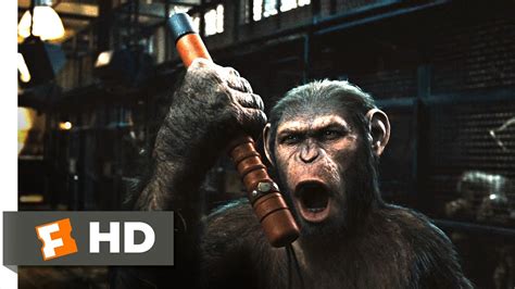 That's very much on the tracks. Rise of the Planet of the Apes (2011) - Prison Break Scene ...