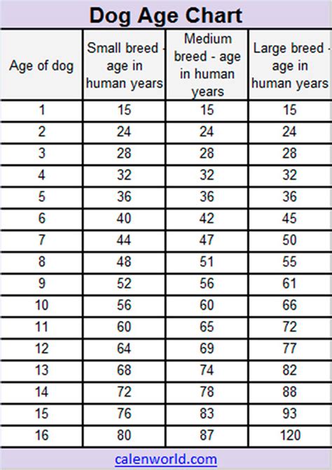 Generally, an animal's longevity is proportional to its size (with the exception of tortoises, man and a few other animals). Dog Age Calendar | Dog Age Chart | Dog Age Converter