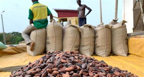 Ivory Coast Ghana Proposed Cocoa Price Floor Lacks Other Growers