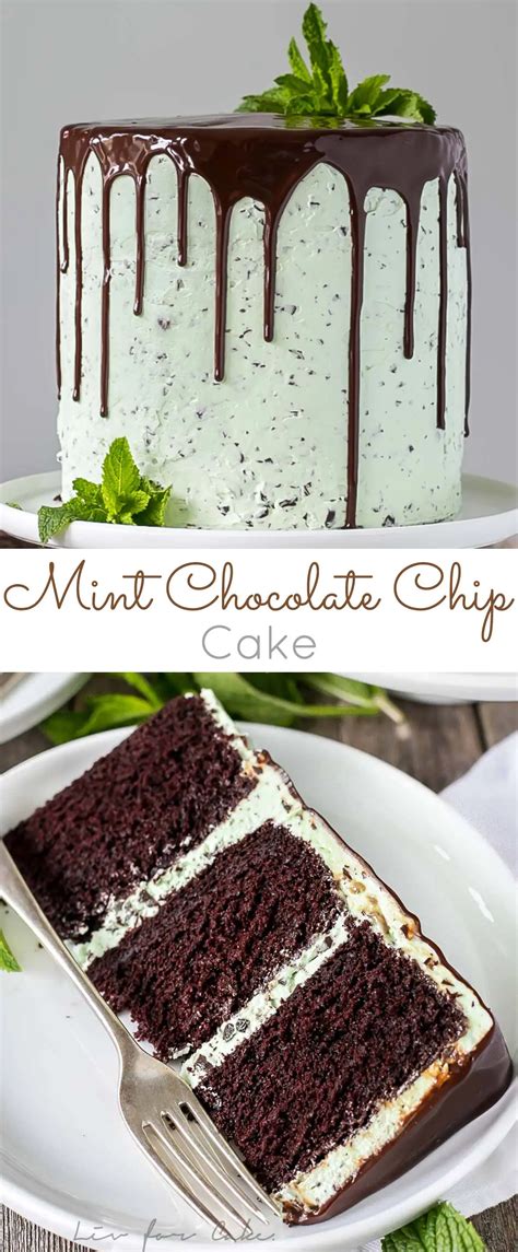 Mint Chocolate Chip Cake Liv For Cake