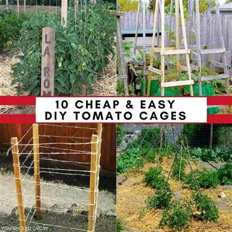 Want To Make Your Own Tomato Cages Tomato Cage Diy Tomato Cages