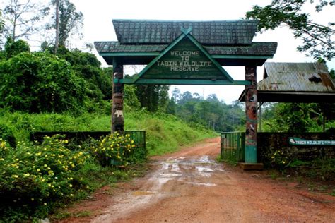 Entrance To Tabin Wildlife Reserve In Sabah Malaysia