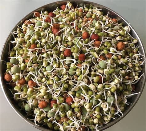 Recipegrabbag How To Make Healthy Sprouts At Home