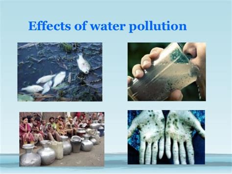 16 Water Pollution Facts Types Causes Effects Prevention