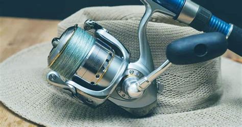 The 7 Best Saltwater Spinning Reels In 2021 By Experts