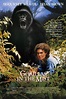 Gorilas en la niebla (1988) - FilmAffinity