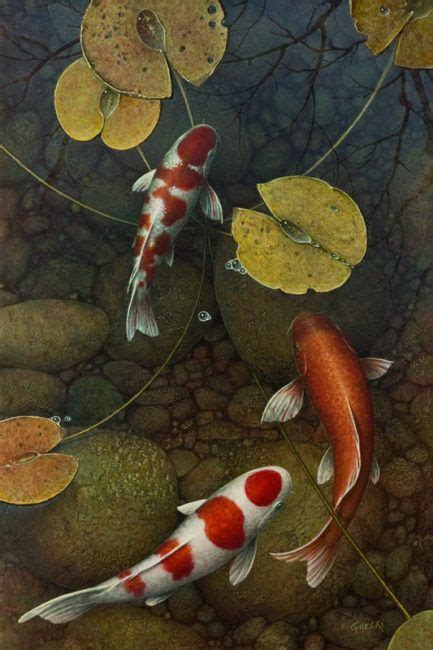 Terry Gilecki Artist Original Koi Fish Paintings White Rock Gallery