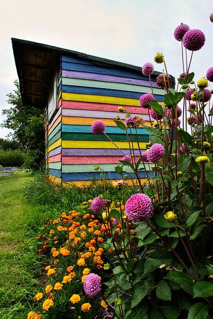 Maybe you would like to learn more about one of these? Allotment Colours | Allotment shed at the Elder Stubbs ...