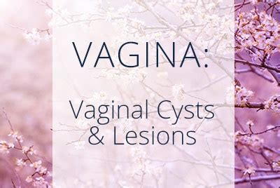 Benign Vaginal Cysts And Lesions Best Gynecological Sur