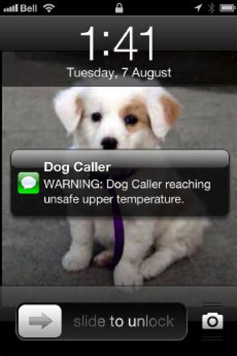 If it helps, i have a to prevent this from happening, i suggest buying a dog from a responsible and respected breeder who can be counted on selling only vet examined. High-tech collar aims to stop dogs dying from heat, sends ...