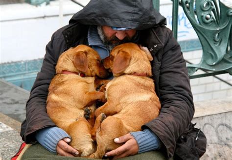 O Amor Mais Sincero Moradores De Rua Com Seus Cães São Prova De Que Os Animais São Os Melhores