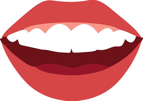 Download Mouth Smile Teeth Royalty Free Vector Graphic Pixabay