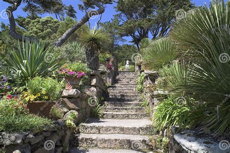 Stairs In Beautiful Garden Stock Image Image Of Beautiful 56805017