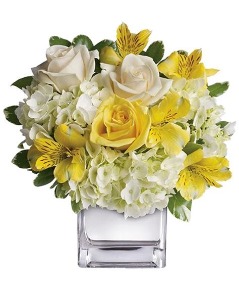 Recensioni di vaso fiori bianco ✅. Vaso Con Fiori Bianchi - Vaso Con Fiori Per Presepe ...