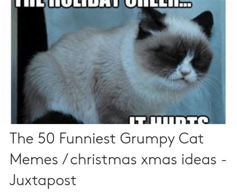 The 50 Funniest Grumpy Cat Memes Christmas Xmas Ideas