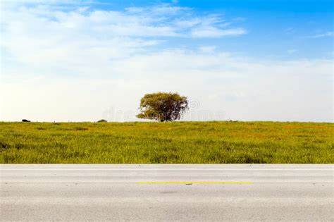 American Country Road Stock Image Image Of Province 31764103