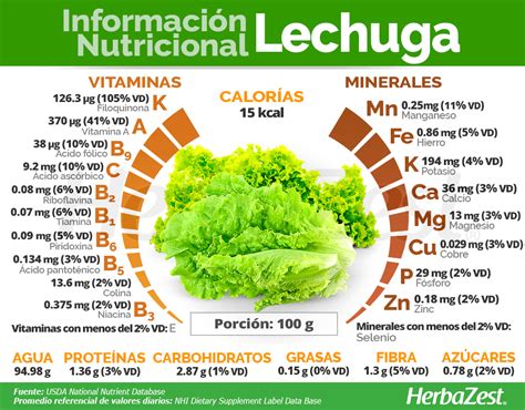 Información Nutricional De La Lechuga Planes De Alimentación