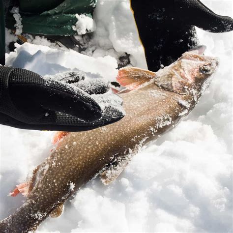 8 Best Ice Fishing Lakes In Colorado Best Fishing In America