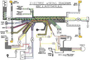 Turn+signal+brake+light+wiring+diagram | installing turn signals : Yankee Turn Signal Wiring Diagram - Wiring Diagram Schemas