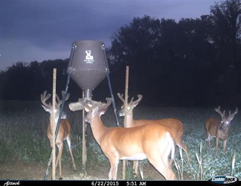 Boss Buck Texas Two Step All In 200 Lb Combo Deer Feeder Deer